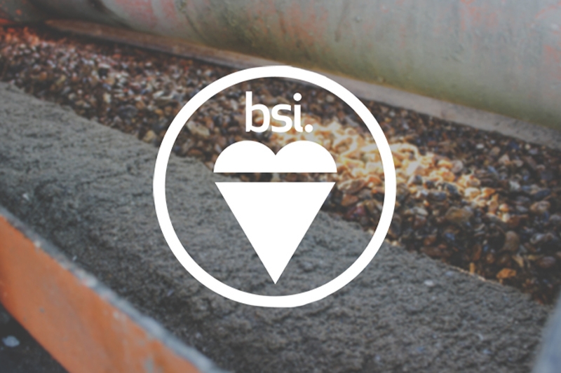 BSI Logo on Belt